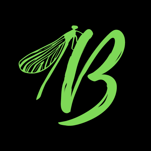 Letter B with a green dragonfly
